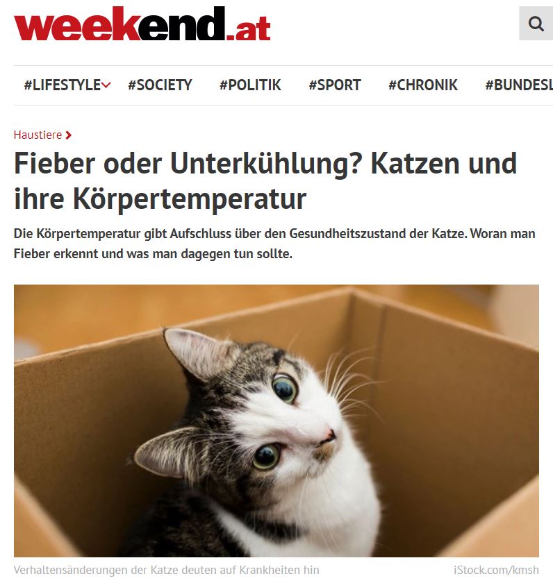 Fieber oder Unterkühlung? Katzen und ihre Körpertemperatur Trubka GmbH